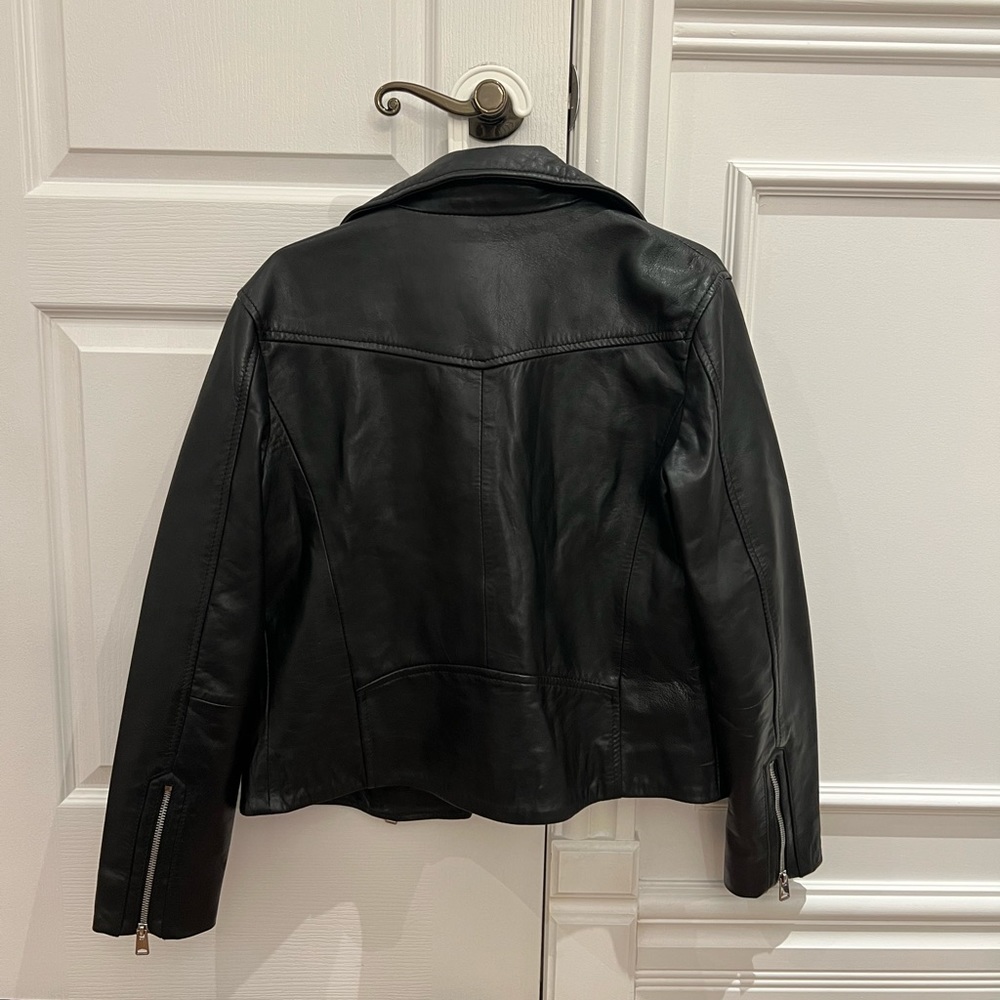 LEATHER JACKET - Picture 6 of 16